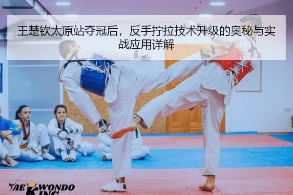 wang-chu-qin-tai-yuan-zhan-duo-guan-hou-fan-shou-ning-la-ji-shu-sheng-ji-de-ao-mi-yu-shi-zhan-ying-yong-xiang-jie-2-779.jpg